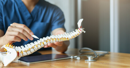 close up specialist chiropractor man touch on back on spine anatomy and diagnose about symptom and...