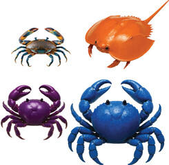 colorful 4 crabs