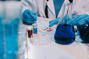 Modern Empty Science Laboratory With Microscopes, Test Tubes And Other Laboratory Equipments