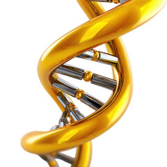 Detailed view of a golden DNA double helix structure exploring genetic information representation