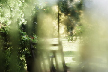 Soft focus tranquil landscape with trees and haze