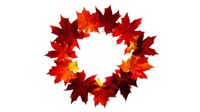 Vibrant Autumn Leaves Wreath in Shades of Orange Red and Yellow on Transparent Background