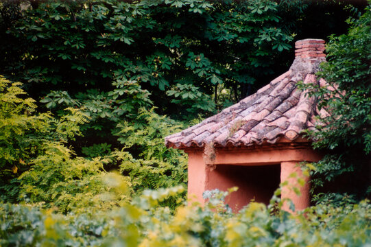 small hut among the green and dense vegetation
