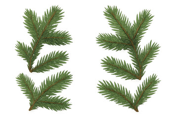 Naklejka premium Six photorealistic illustrations of fir branches, perfect for christmas or nature-themed designs, isolated on a transparent background