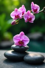 Fototapeta premium Smooth grey spa stones, vibrant orchid blossoms overhead , overhead shot, flowers