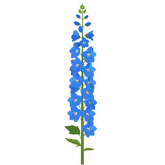 A vibrant blue Delphinium flower stalk with yellow centers and green buds.