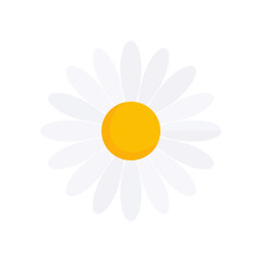 Simple flat design daisy flower with a round yellow center and symmetrical white petals. Minimalist vector illustration of a chamomile blossom.