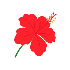 A vibrant red hibiscus flower illustration with five wavy petals and a prominent pistil, rendered in a simple, flat design style.