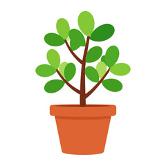 Simple flat illustration of a potted jade plant with lush green oval leaves.