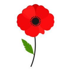 Stylized red poppy flower illustration with a black center, single stem, and green leaf.
