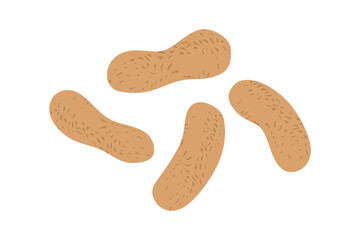 Cashew nuts, tasty vegetarian food. Natural delicious healthy vegan snack isolated on white background. Crescent-shaped nuts with textured surface in cartoon style. Colored flat vector illustration