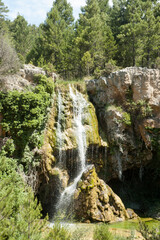image of a natural landscape with lots of vegetation and waterfalls