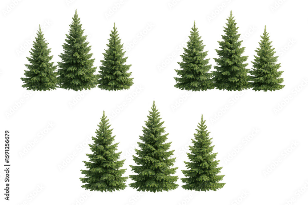 Poster detailed 3d rendering featuring varied fir trees, supporting architectural visualization with realis