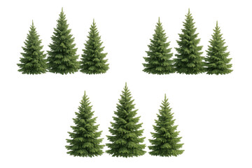 Detailed 3d rendering featuring varied fir trees, supporting architectural visualization with realistic landscape modeling