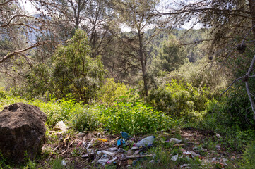 garbage in nature, destruction of the environment, conceptual photography