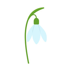 A simple, flat design illustration of a single drooping snowdrop flower with light blue petals and a curved green stem.