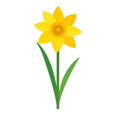 A vibrant yellow daffodil illustration with a simple, flat design, featuring an orange corona, green stem, and two leaves.