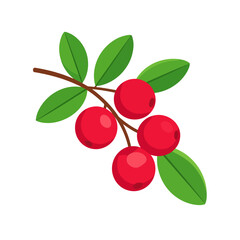 Branch of ripe red lingonberries with vibrant green leaves