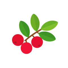 A simple flat vector illustration of a lingonberry sprig with three ripe red berries and vibrant green leaves.