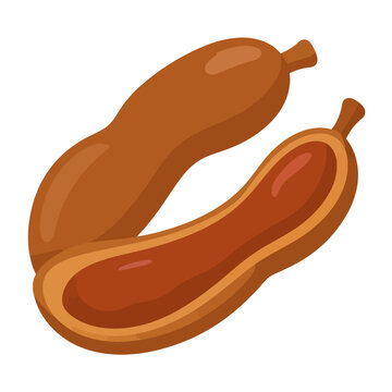 Cartoon illustration of whole and halved tamarind pods with brown pulp.