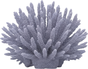 Detailed Macro View Of A Lavender Coral Structure On A Transparent Background Isolate Transparent Background