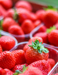 Fresh, vibrant red strawberries are neatly packed in clear plastic containers, highlighting their...