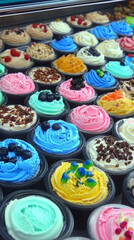 Many colorful ice cream scoops sit neatly in small cups. This delicious dessert display offers many tempting flavors.