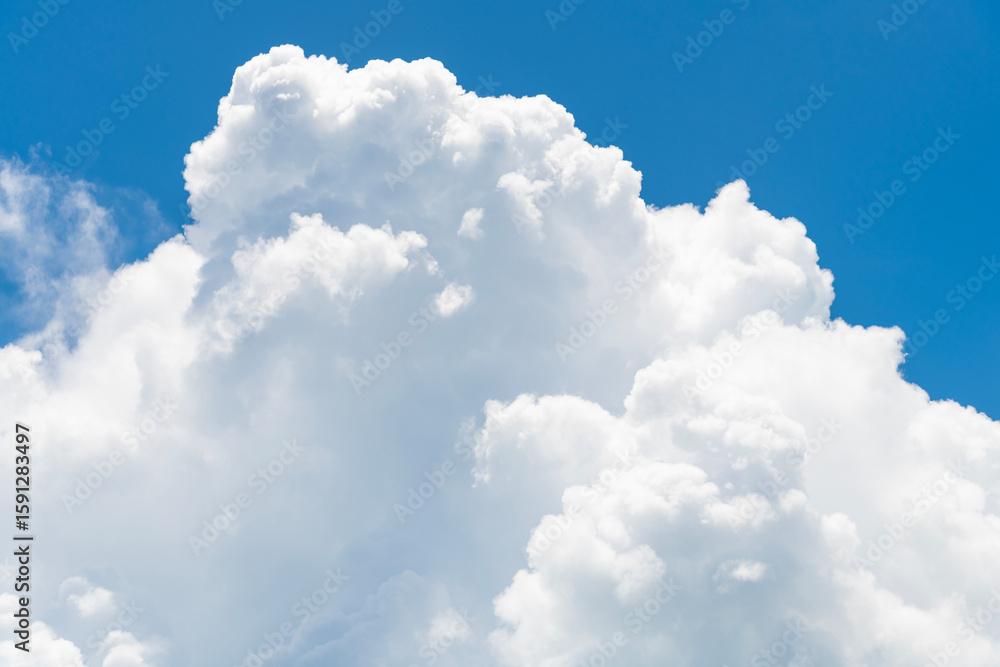 Canvas Prints cloudy atmospheric backdrop. morning sky with cloud. sky and cloud formation. weather cloudscape. sk