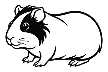 Black and white guinea pig illustration portrays a cute furry pet animal