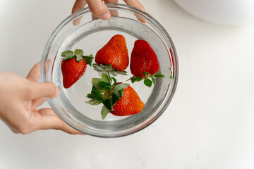 Hands holding bowl of fresh, summer strawberries on white background