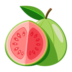 Pink Guava Fruit Vector Illustration