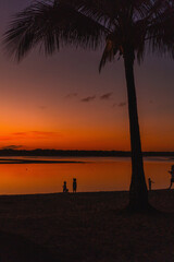 Silhouette of people walking along the beach at sunset, palm tree