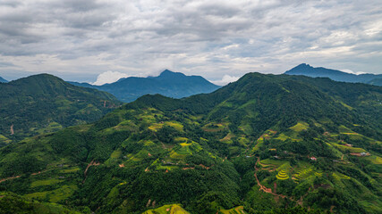 Fototapeta premium A breathtaking view of vibrant green and golden rice terraces cascading down the mountainside, set against a backdrop of lush hills and a cloudy sky in a serene rural setting.