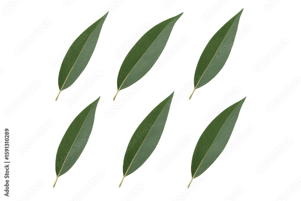 Poster green leaves positioned symmetrically against transparent backdrop, creating clean minimalist design