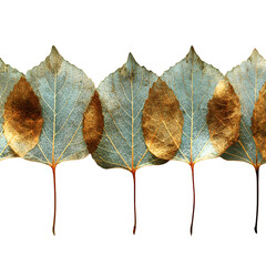Autumn leaves, row, nature,  background. Botanical art