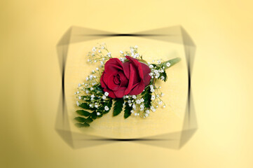 red rose ready to put on the groom's lapel