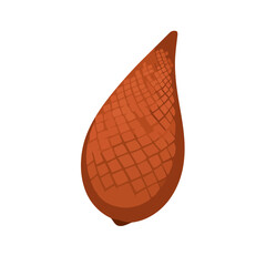 Detailed vector illustration of a whole Salak fruit with its distinctive reddish-brown scaly skin.