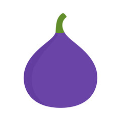 A simple flat illustration of a whole purple fig with a curved green stem, featuring a minimalist teardrop shape and solid colors.