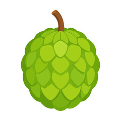 A vibrant green custard apple illustration featuring a segmented, knobby rind and a short brown stem.