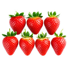 PNG Shot of a young woman wearing a backpack and holding a camera 