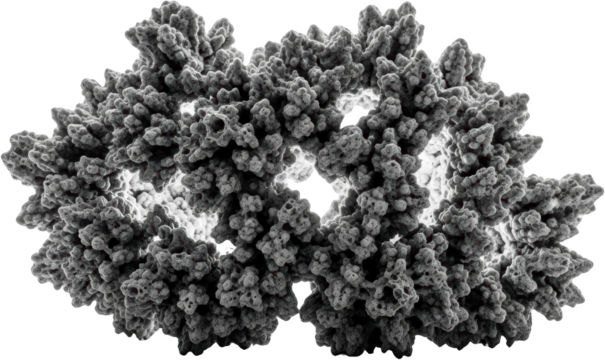 Highly detailed microscopic view of a complex fractal crystalline structure transparent background