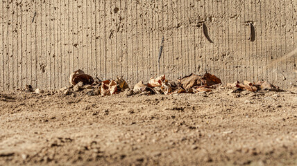 Forgotten Story: Urban Traces