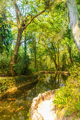 Valley of Lakes in the Pena palace park