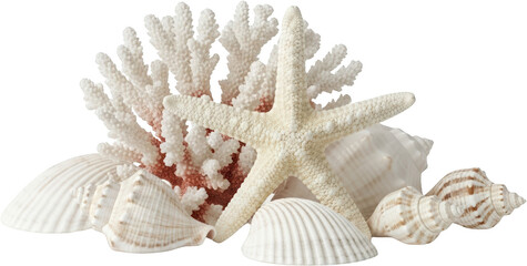 Collection of assorted seashells and white coral arranged together Starfish transparent background