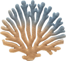 Intricate branching coral specimen with textured surface featuring a gradient from tan to blue...