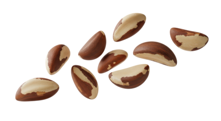 A group of brazil nuts isolated on transparent background