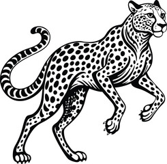 Spotted feline walking with elegant posture leopard animal