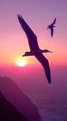 Birds soar during a sunset over a beautiful seascape with cliffs and pink sky