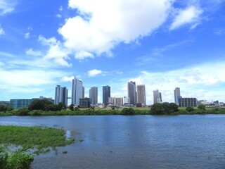 多摩川河川敷から見た武蔵小杉ビル群
