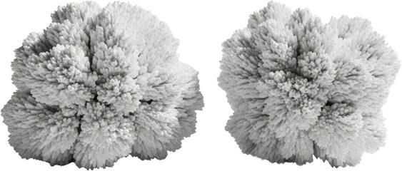 Two Detailed Crystal Structures White Crystalline Formations Isolated Transparent Background...